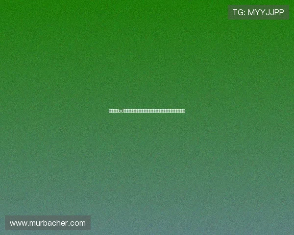 如何通过od真人会员登录入口实现账号安全保护与个人信息管理技巧